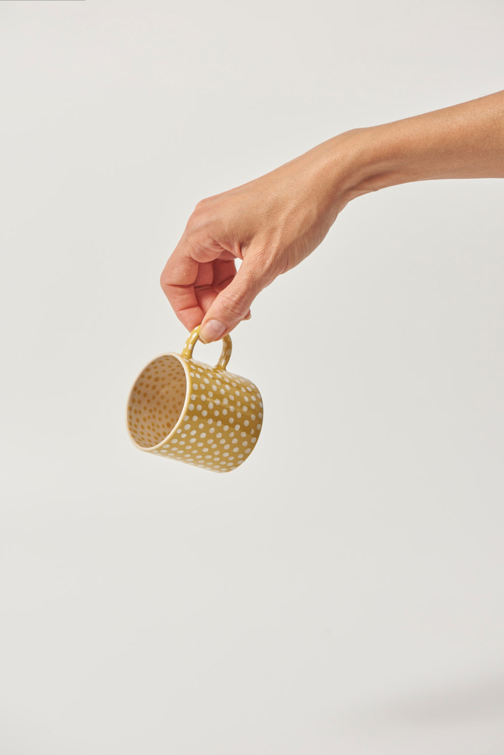 Chino Espresso Mustard Sprinkle