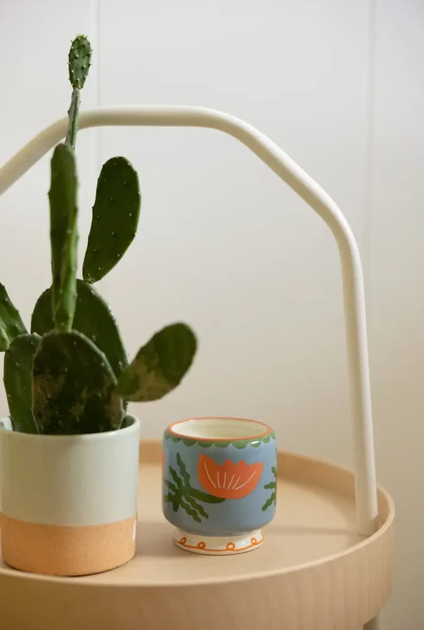Adopo Flower Ceramic Candle - Cactus Flower Boxed