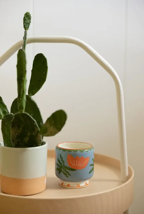 Adopo Flower Ceramic Candle - Cactus Flower Boxed