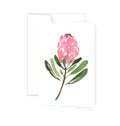 ellen walsh designs protea greeting card with pink watercolour protea bloom and green leaves