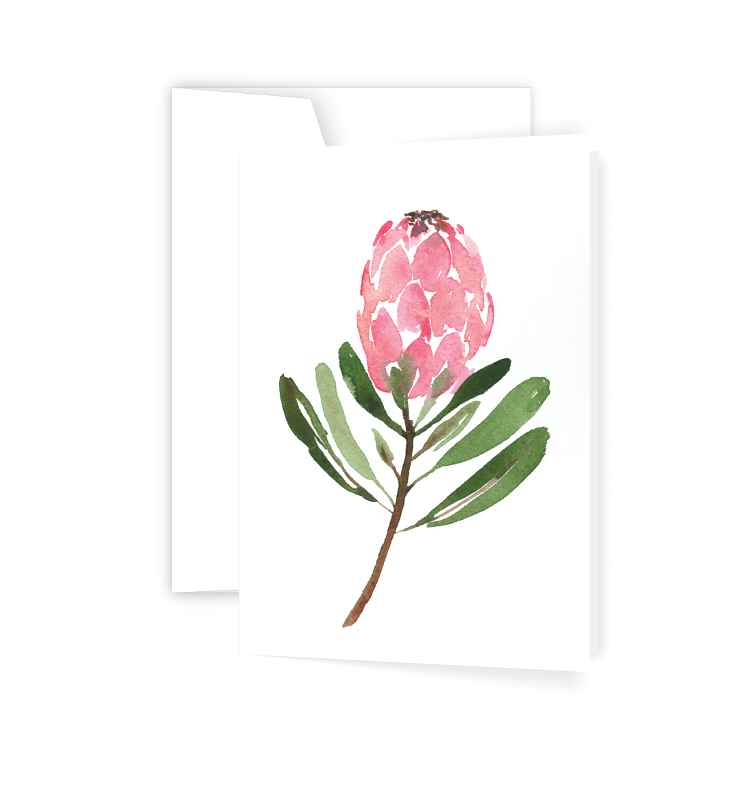ellen walsh designs protea greeting card with pink watercolour protea bloom and green leaves